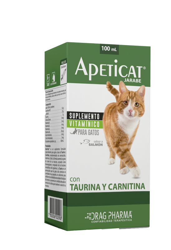 APETICAT SYRUP 100 ML